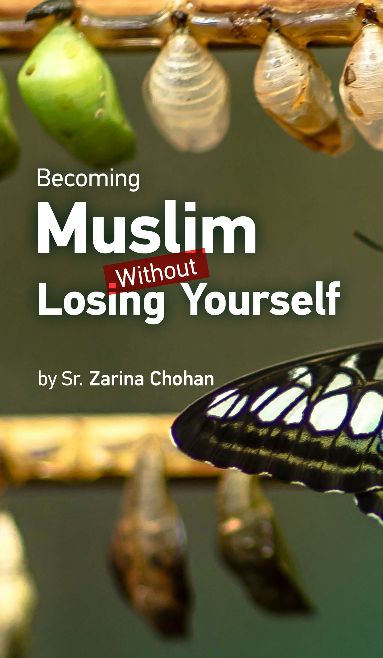 QW26-200p-005 Becoming Muslim without Losing Yourself by Zarina Chohan
